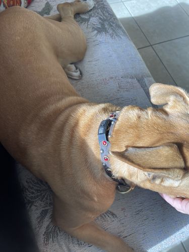 Customer photo review of ByteTag Slide