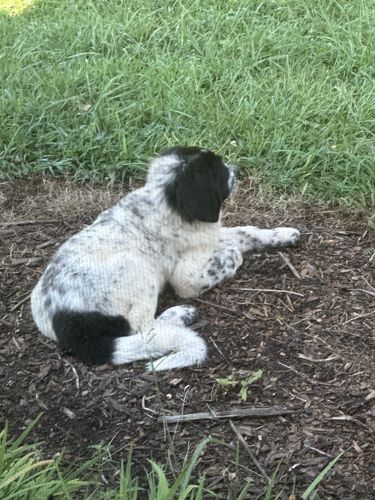 Customer photo review of ByteTag Slide