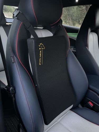 Customer photo review of Giraffe Cushion