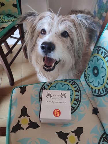 Customer photo review of Biscotti Della Fortuna Per Cani