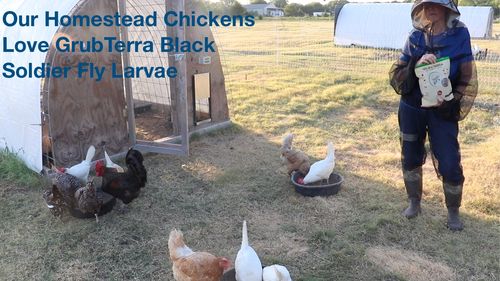 Customer photo review of GrubTerra Dried Larvae