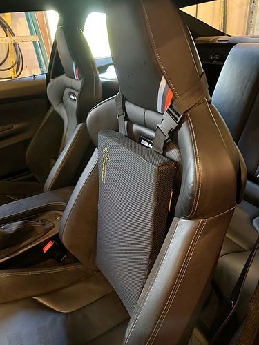 Customer photo review of Giraffe Cushion