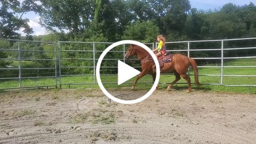 Customer video review of Osteo-MAX » up to 50% Off