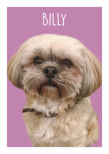 Customer photo review of Classic - Custom Pet Portrait