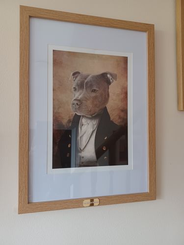 Customer photo review of The Baron - Custom Vintage Pet Portrait