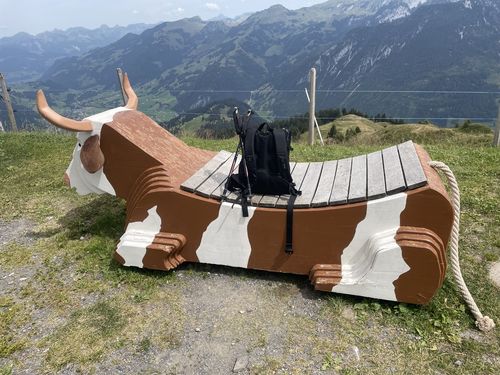 Customer photo review of BERGMENSCH® Rolltop Rucksack HANS