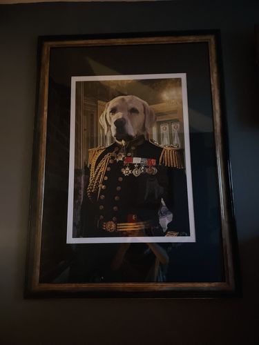 Customer photo review of The Earl - Custom Pet Portrait