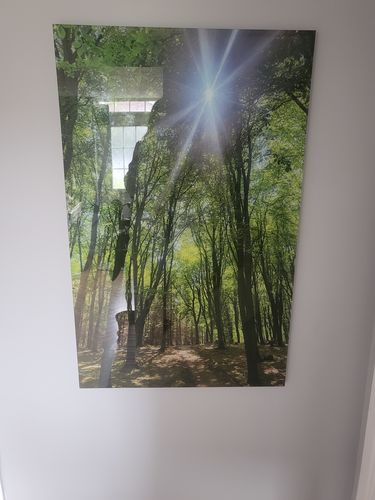 Customer photo review of "70x110" Custom Design Glass Wall Art