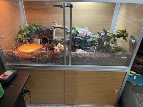 Customer photo review of 4'x2'x2' Meridian PVC Reptile Enclosure
