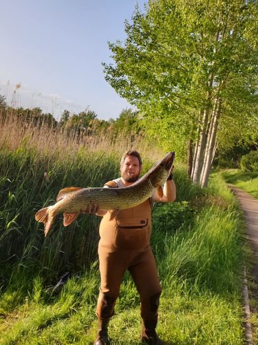 Customer photo review of Lure Drop