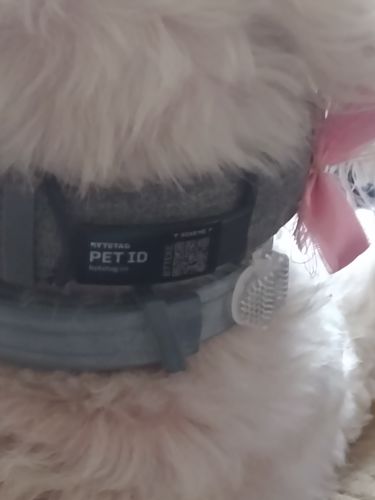 Customer photo review of ByteTag Slide