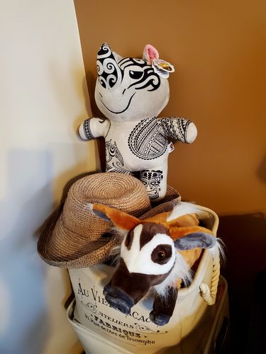 Customer photo review of Dwayne the Wrestling Rhino