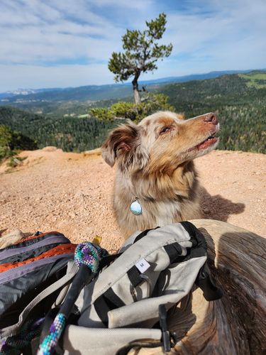 Customer photo review of Explorer