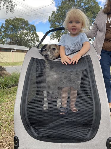 Customer photo review of PaWz Pet Stroller 4 Wheel