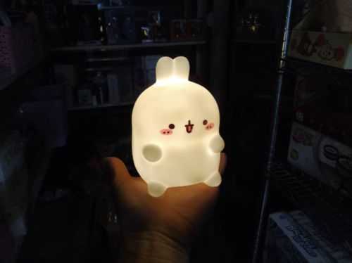 Customer photo review of Molang Rabbit Desk Light