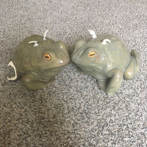 Customer photo review of Walnut the Angel Frog *PREORDER*