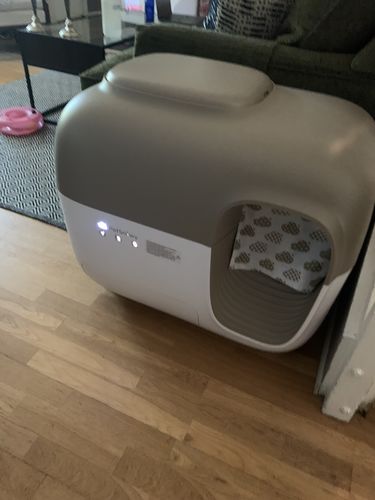 Customer photo review of Self-Cleaning Litter Box