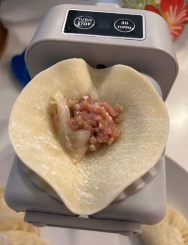 Customer photo review of Dumplingly™