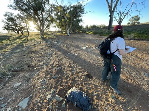 Customer photo review of Construction Pants