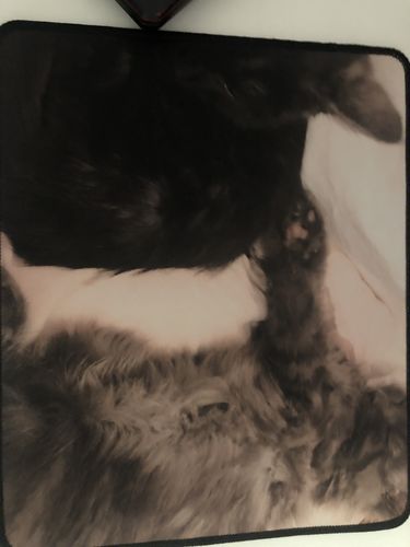 Customer photo review of Small Custom Mousepad