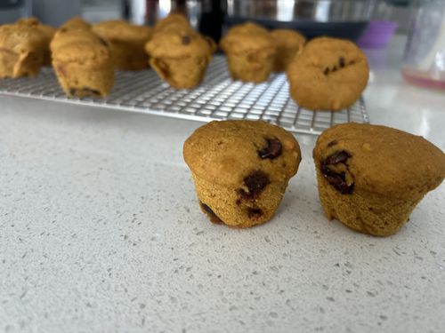 Customer photo review of Pancakes and Waffles Baking Mix