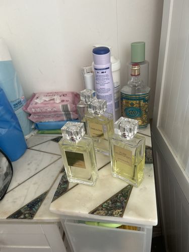 Customer photo review of Alien (Inspired) - Abduction