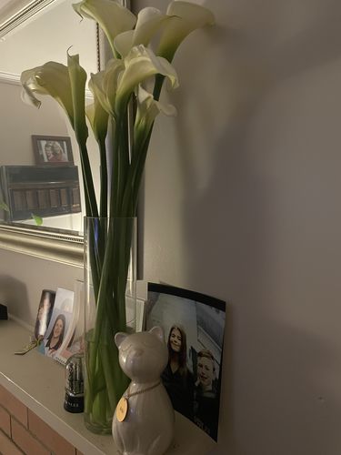 Customer photo review of Heart Candle