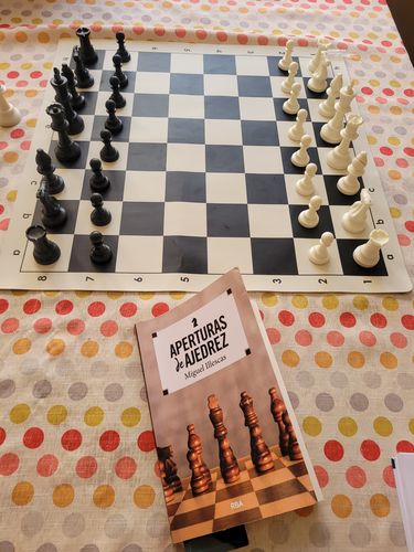 Customer photo review of Tablero de ajedrez profesional de vinilo