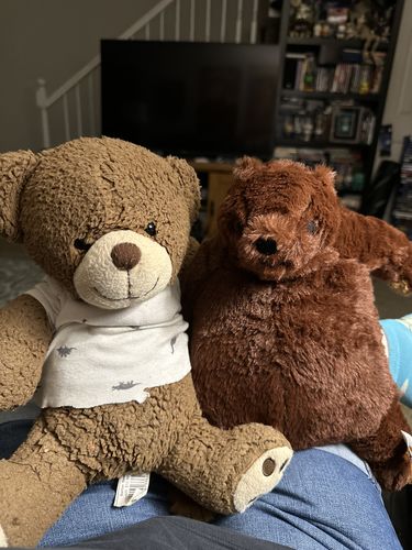 Customer photo review of SKOGGY BEAR