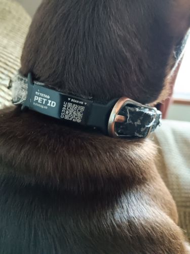 Customer photo review of ByteTag Slide