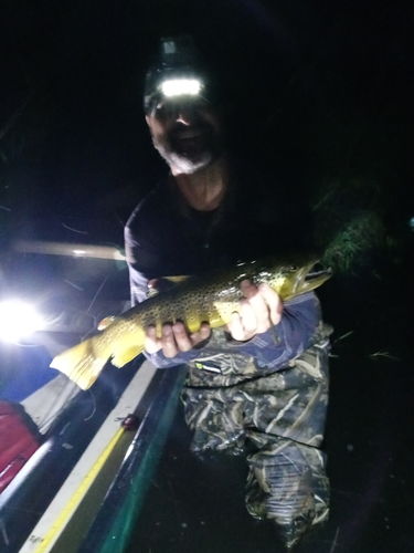 Customer photo review of BJ's Dancing Fairy