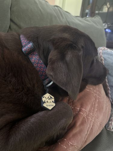 Customer photo review of Mountain Silicone