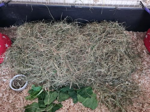 Customer photo review of Meadow Hay Box