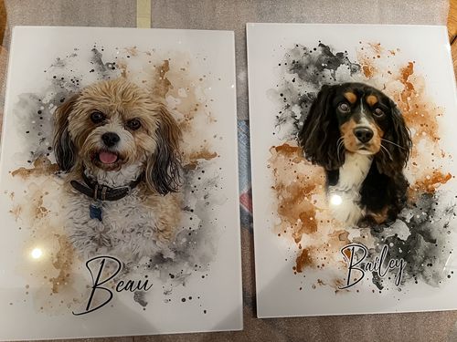 undefined review of Your Pet as Watercolor Portrait image 1 out of 1