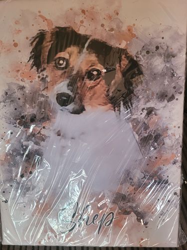 undefined review of Your Dog as Watercolor Portrait image 1 out of 1