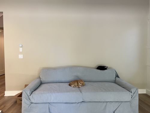 Customer photo review of Waterproof Sofa Covers for Dogs Cats Home pet Couch Protector , Blanket Couch Cover