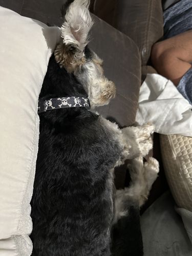 Customer photo review of ByteTag Slide