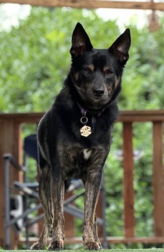 Customer photo review of Mountain Silicone