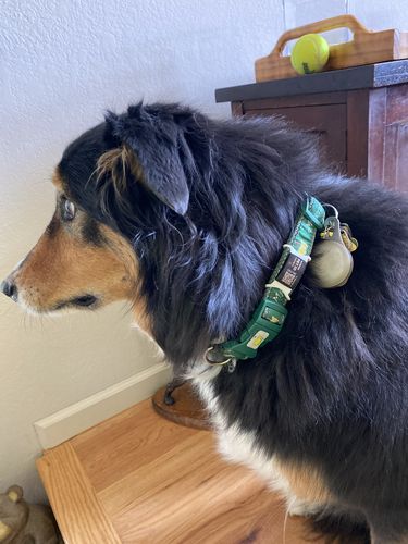 Customer photo review of ByteTag Slide