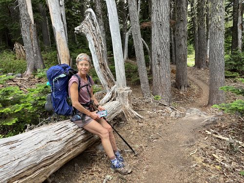 Customer photo review of Women's Paradox Pocket Short Sleeve Tee