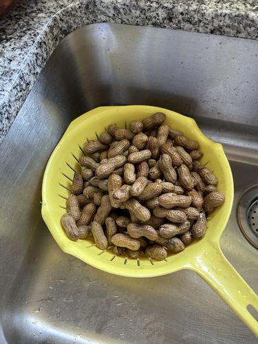 Customer photo review of Boil-The-Bag Boiled Peanut Kit - (2 Bags)