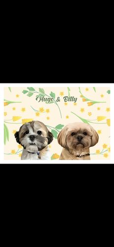 Customer photo review of Spring (2 Pets) - Custom Pet Portrait