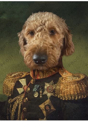Customer photo review of The General - Custom Vintage Pet Portrait