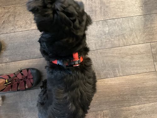 Customer photo review of ByteTag Slide