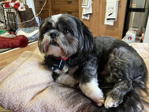 Customer photo review of ByteTag Slide