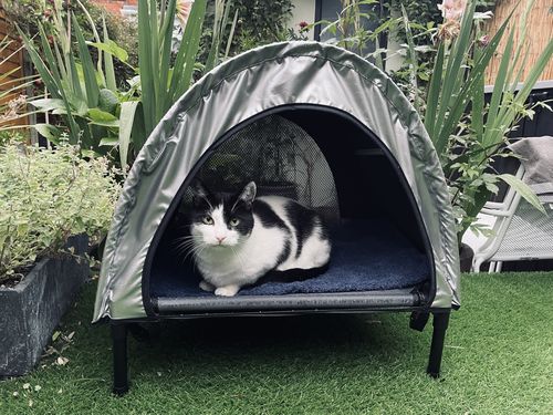 Customer photo review of Sunshade