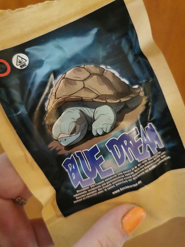 Customer photo review of Blue Dream