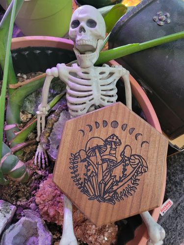 Customer photo review of Black Walnut Wood Mushroom Motif DnD D&D Dice Box