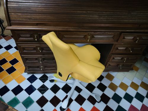 Customer photo review of Capisco Saddle