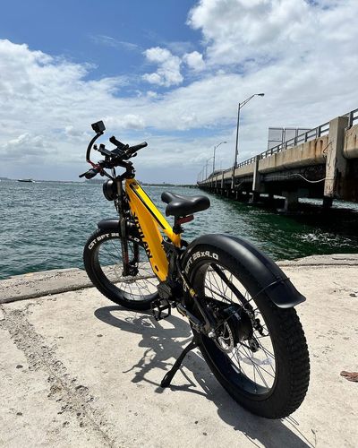 Customer photo review of Vitilan T7 Full Suspension Mountain E-bike
